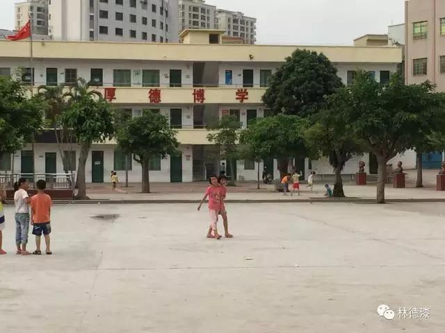 铁盘算香港马盘资料