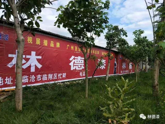 铁盘算香港马盘资料
