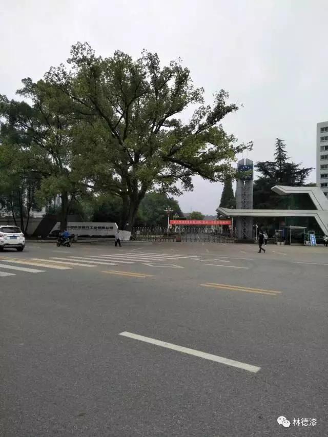 铁盘算香港马盘资料